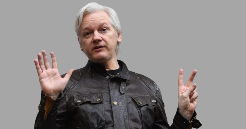 Assange's Skills and Contributions